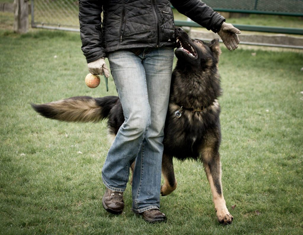 Ones heeling ball as cue