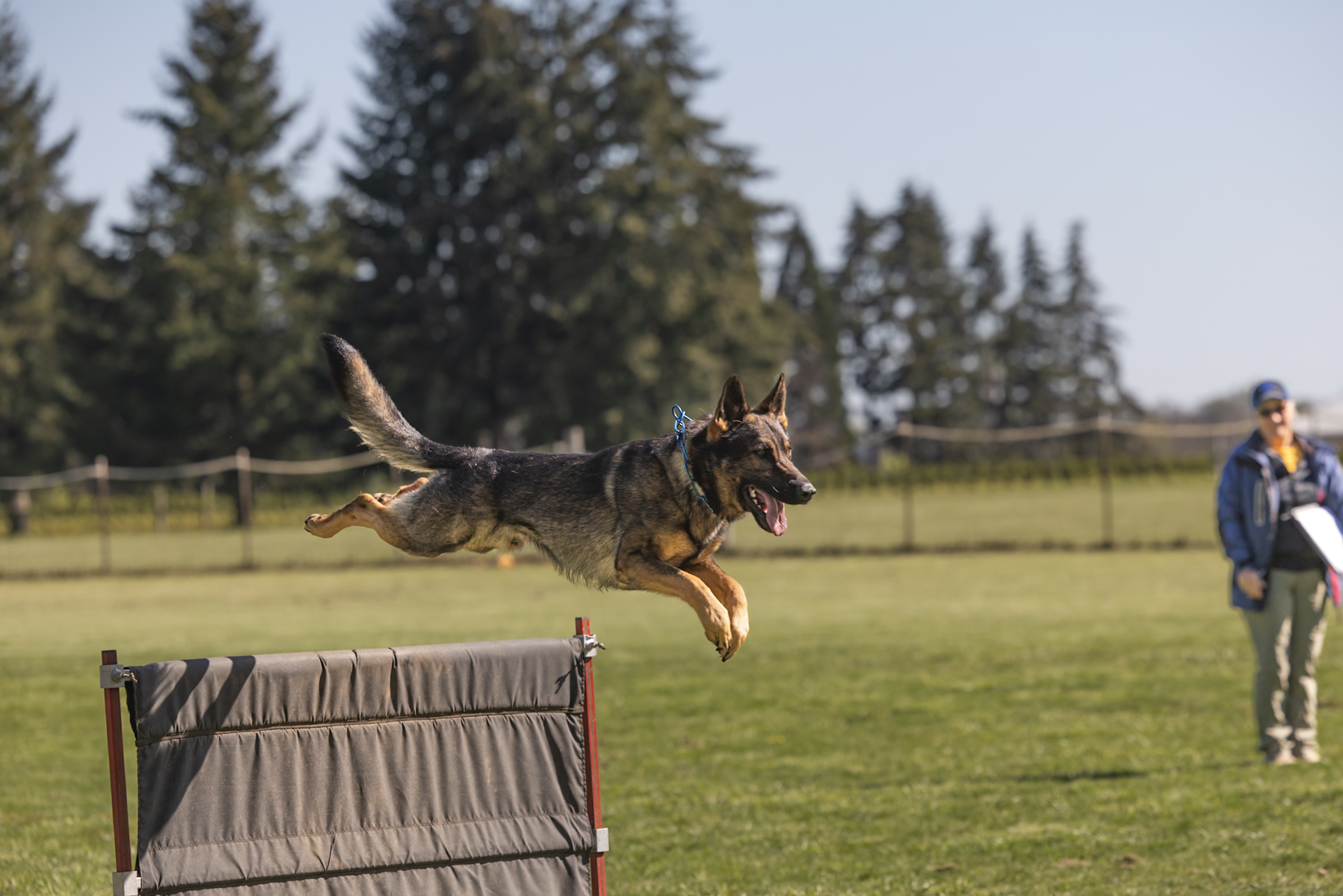 Ion IGP 1 April 25 hurdle